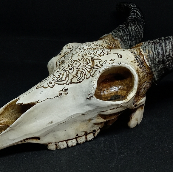 Skull - Picture 2 of 4